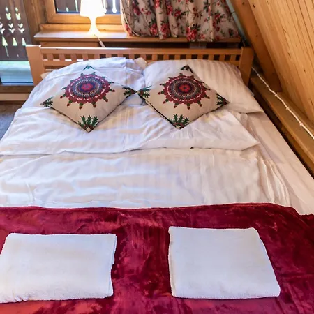 Dağ evi Puciowka Kościelisko